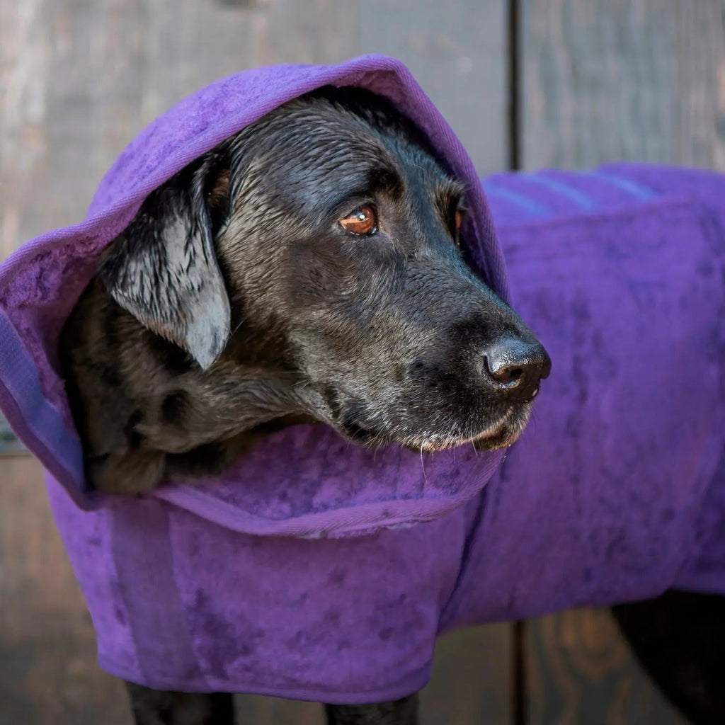 Dog Drying Coat product image 1