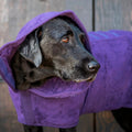 Dog Drying Coat product image 1
