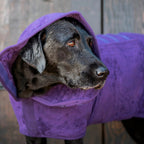 Dog Drying Coat product image 1