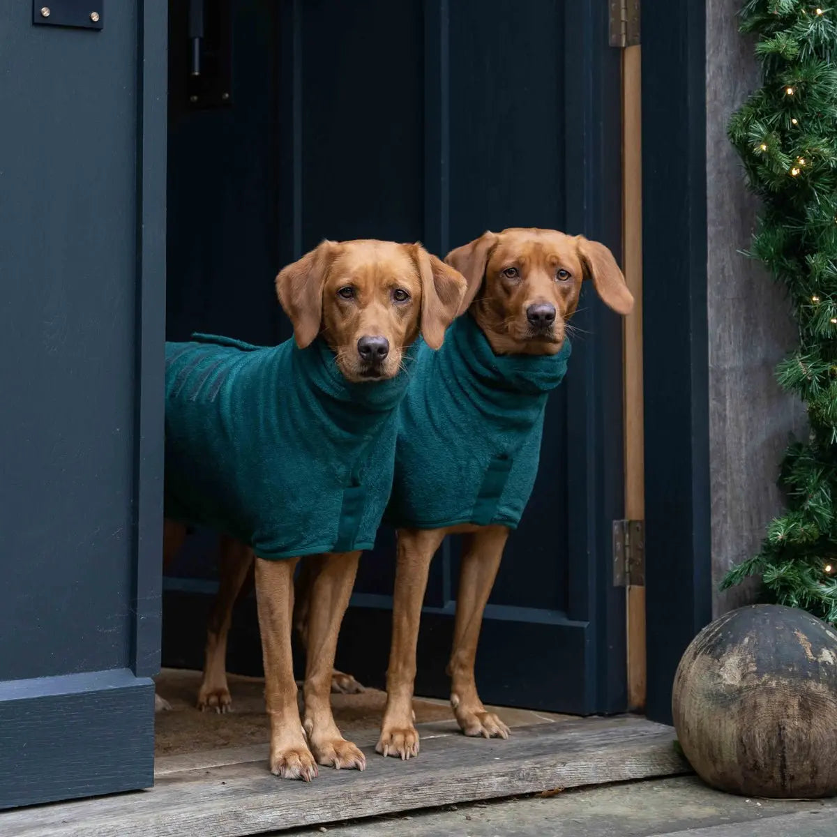 Dog Drying Coat product image 3