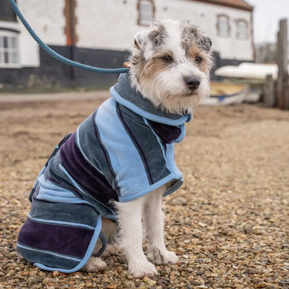 Dog Drying Coat product image 1