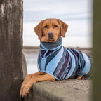 Dog Drying Coat product image 3