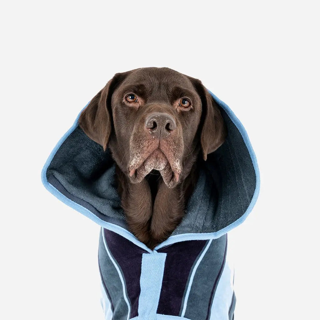 Dog Drying Coat product image 4