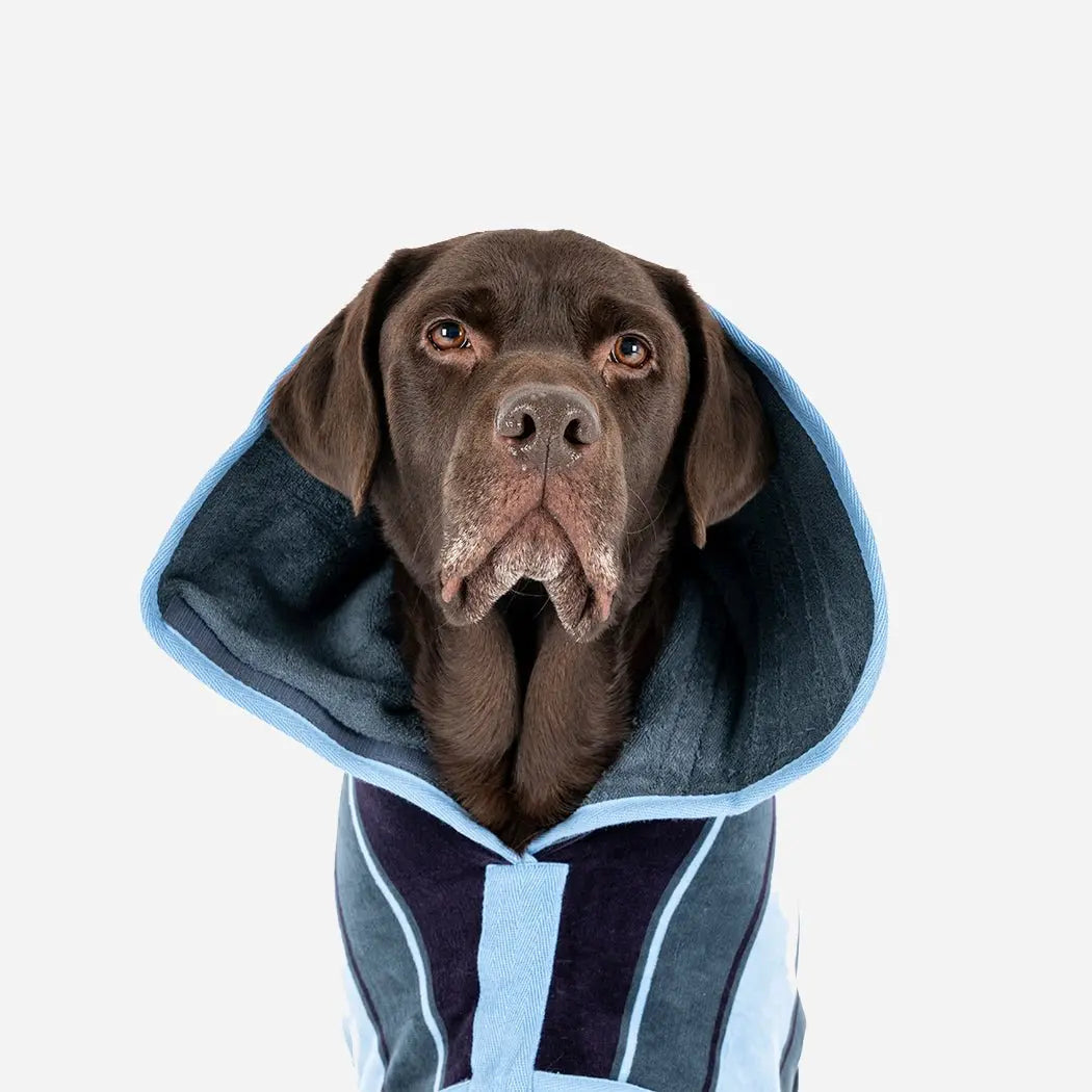 Dog Drying Coat product image 4