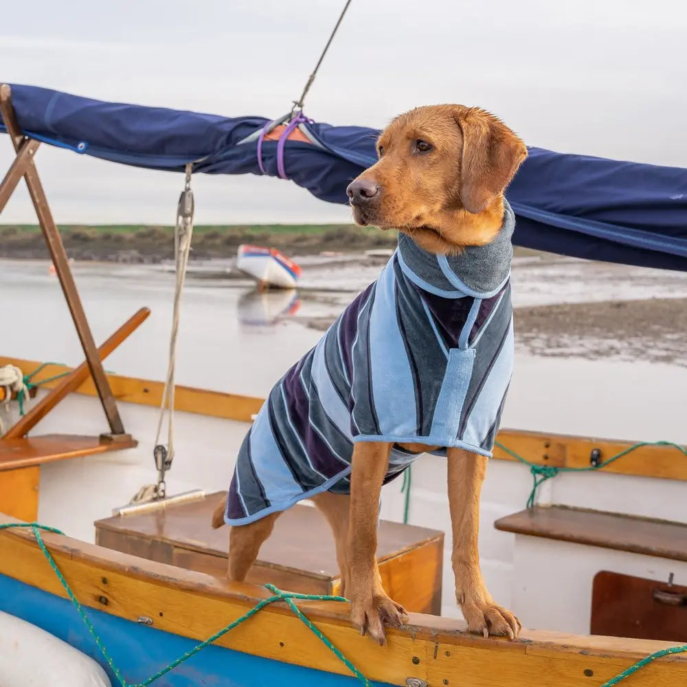 Dog Drying Coat product image 5