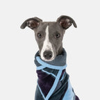 Dog Drying Coat product image 6