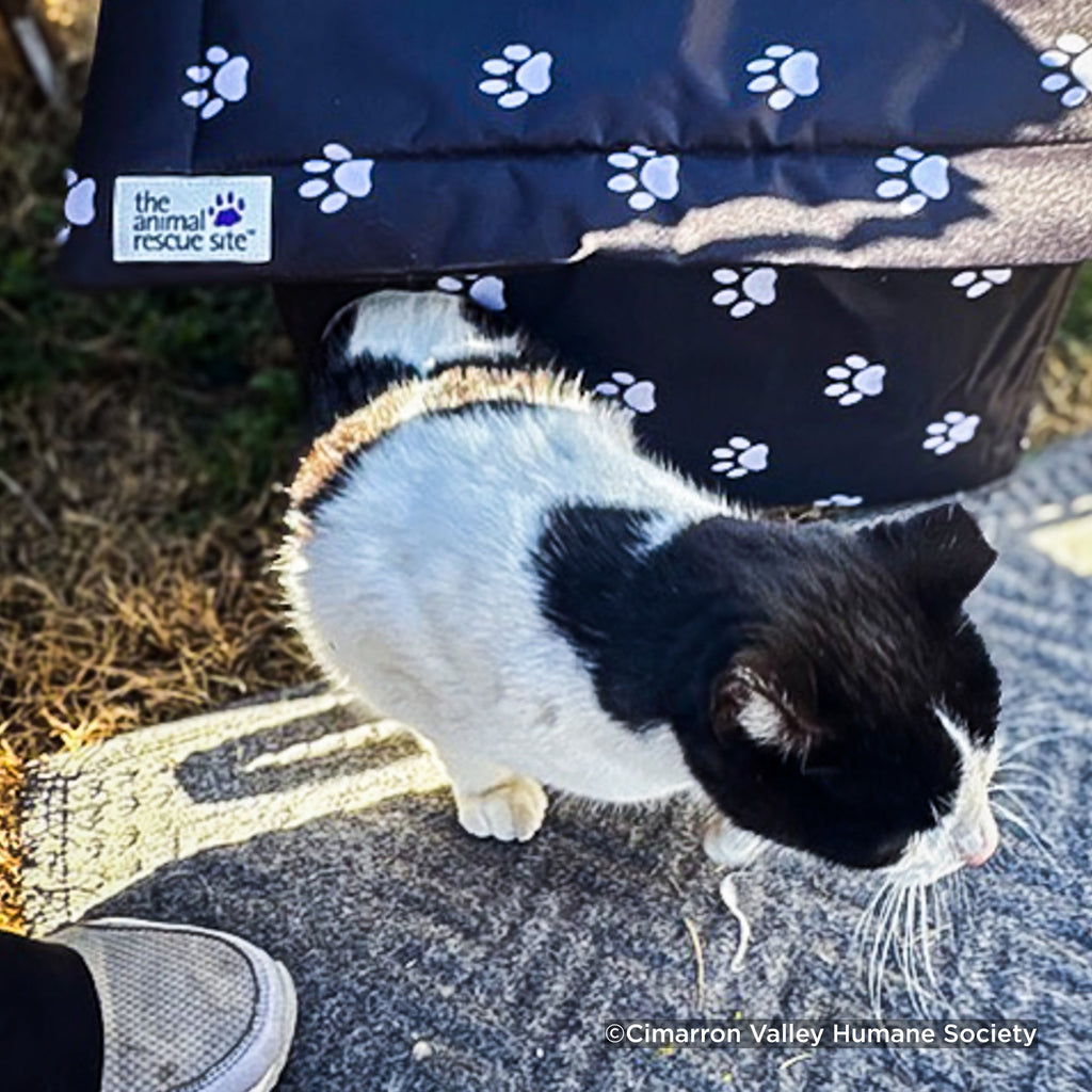 Outdoor Cat Shelter Support Kit product image 2