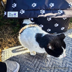 Outdoor Cat Shelter Support Kit product image 2