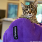 Outdoor Cat Shelter Support Kit product image 4