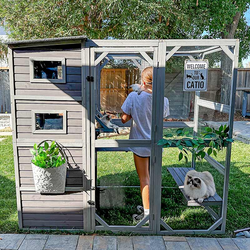 Outdoor Cat Enclosure product image 8