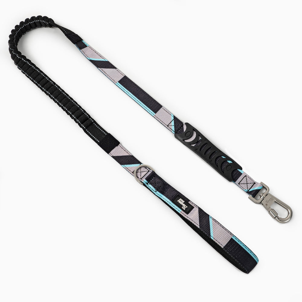 Bungee Dog Leash product image 5