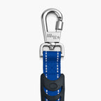 Bungee Dog Leash product image 12