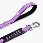 Bungee Dog Leash product image 19