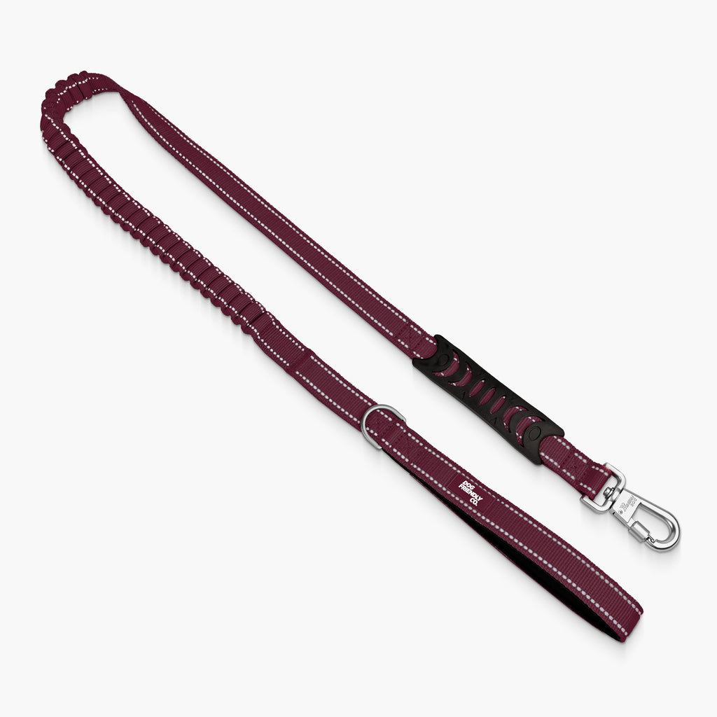 Bungee Dog Leash product image 22