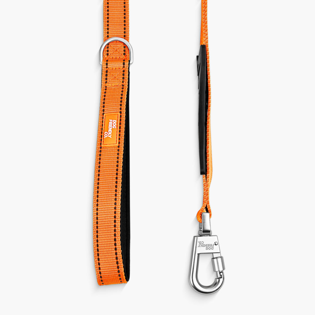 Bungee Dog Leash product image 25