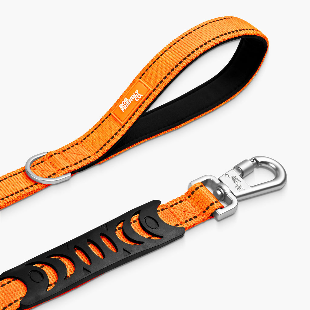 Bungee Dog Leash product image 26