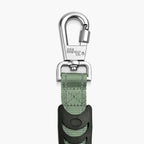 Bungee Dog Leash product image 34