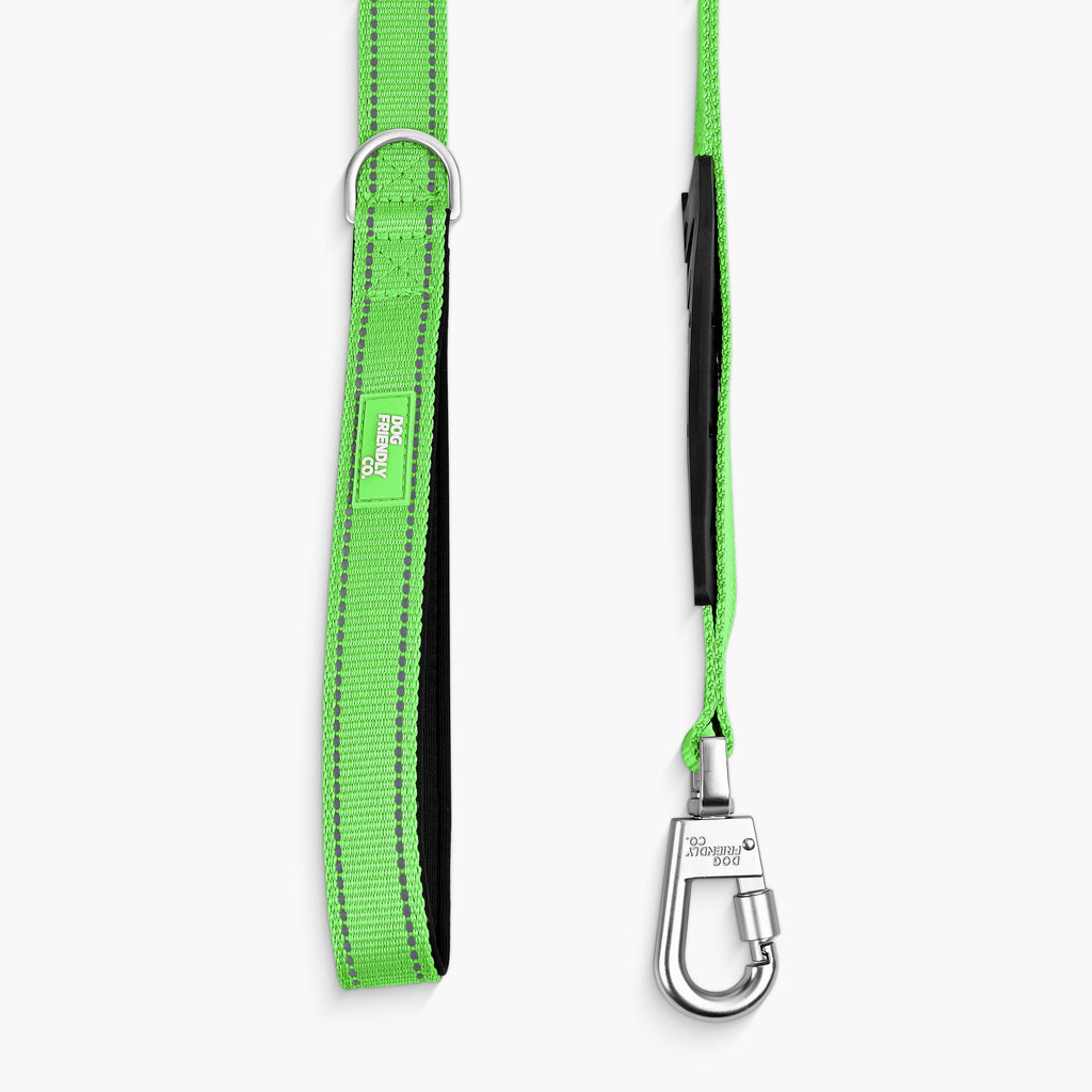 Bungee Dog Leash product image 37