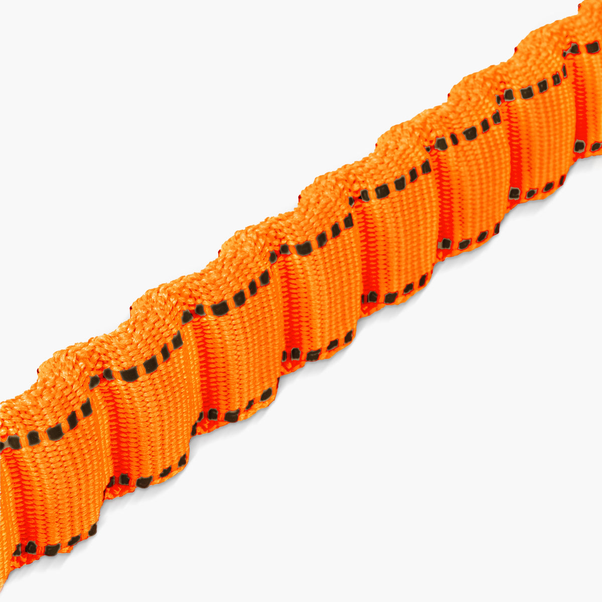 Bungee Dog Leash product image 55
