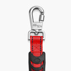 Bungee Dog Leash product image 59