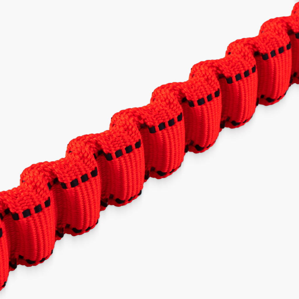 Bungee Dog Leash product image 64