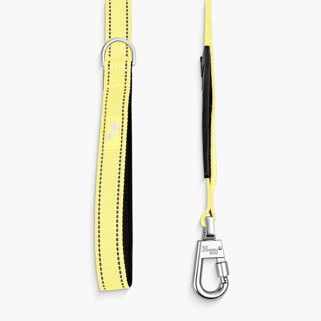 Bungee Dog Leash product image 65
