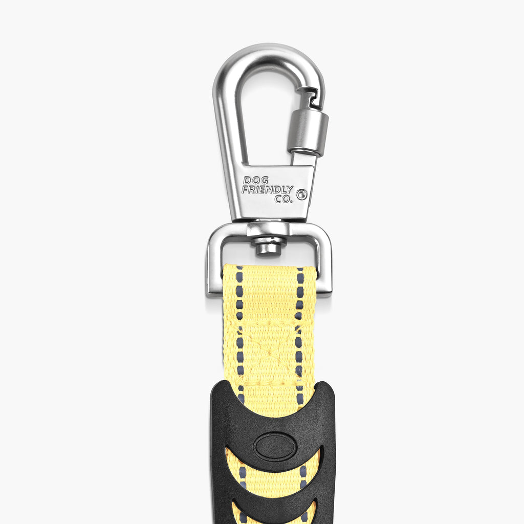 Bungee Dog Leash product image 67