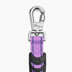 Bungee Dog Leash product image 69