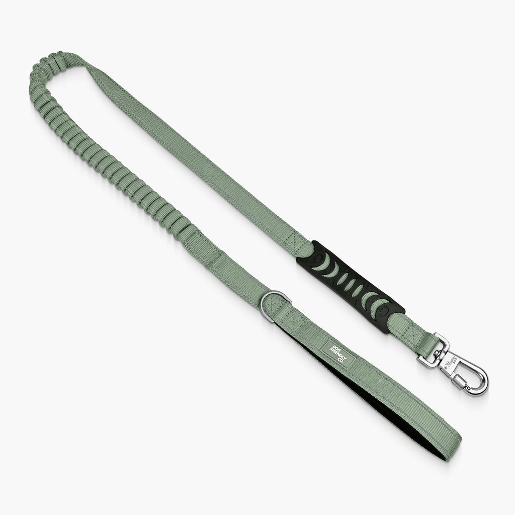 Bungee Dog Leash product image 73