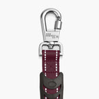 Bungee Dog Leash product image 77