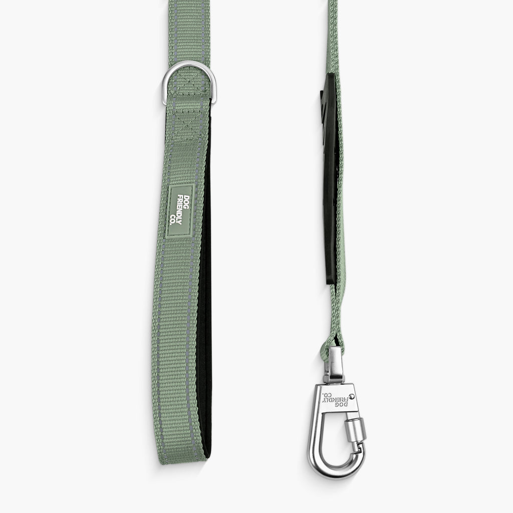 Bungee Dog Leash product image 78