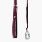 Bungee Dog Leash product image 79