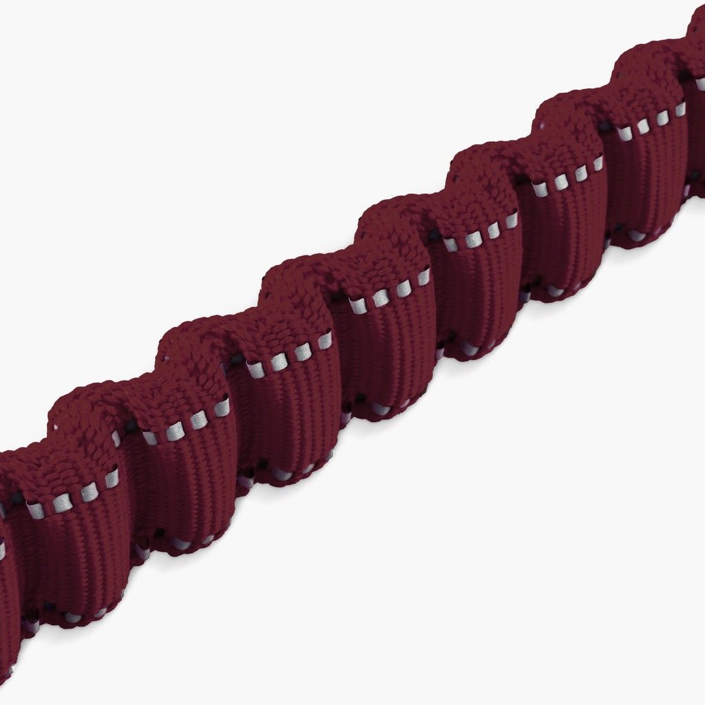 Bungee Dog Leash product image 80