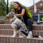 Bungee Dog Leash product image 84