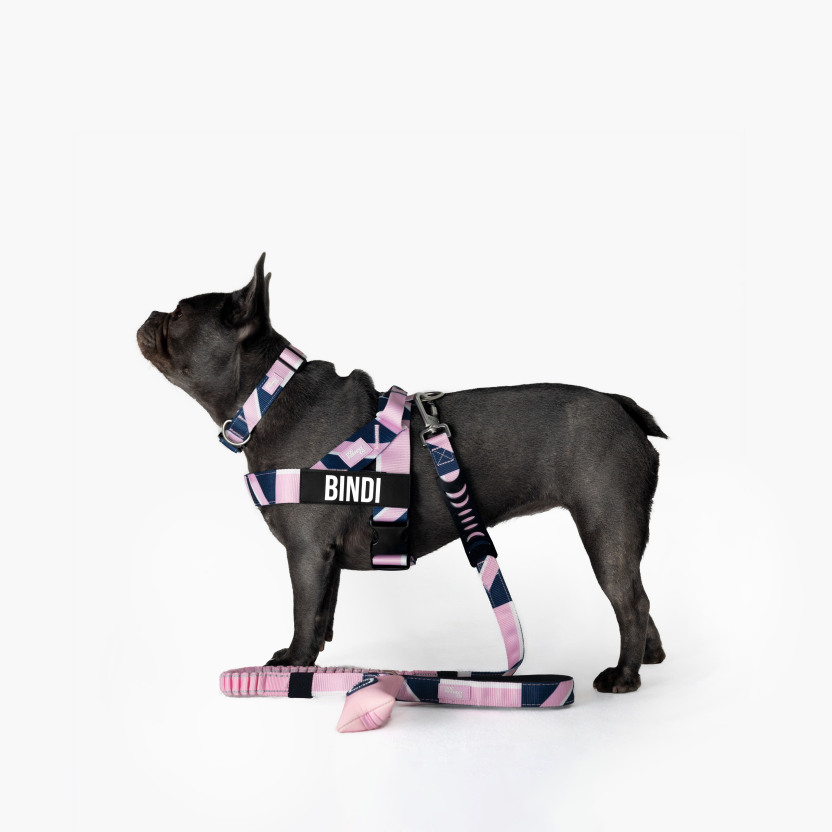 Bungee Dog Leash product image 89