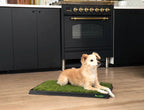 Small tan dog resting on a DoggieLawn grass pad with tray on a kitchen floor.