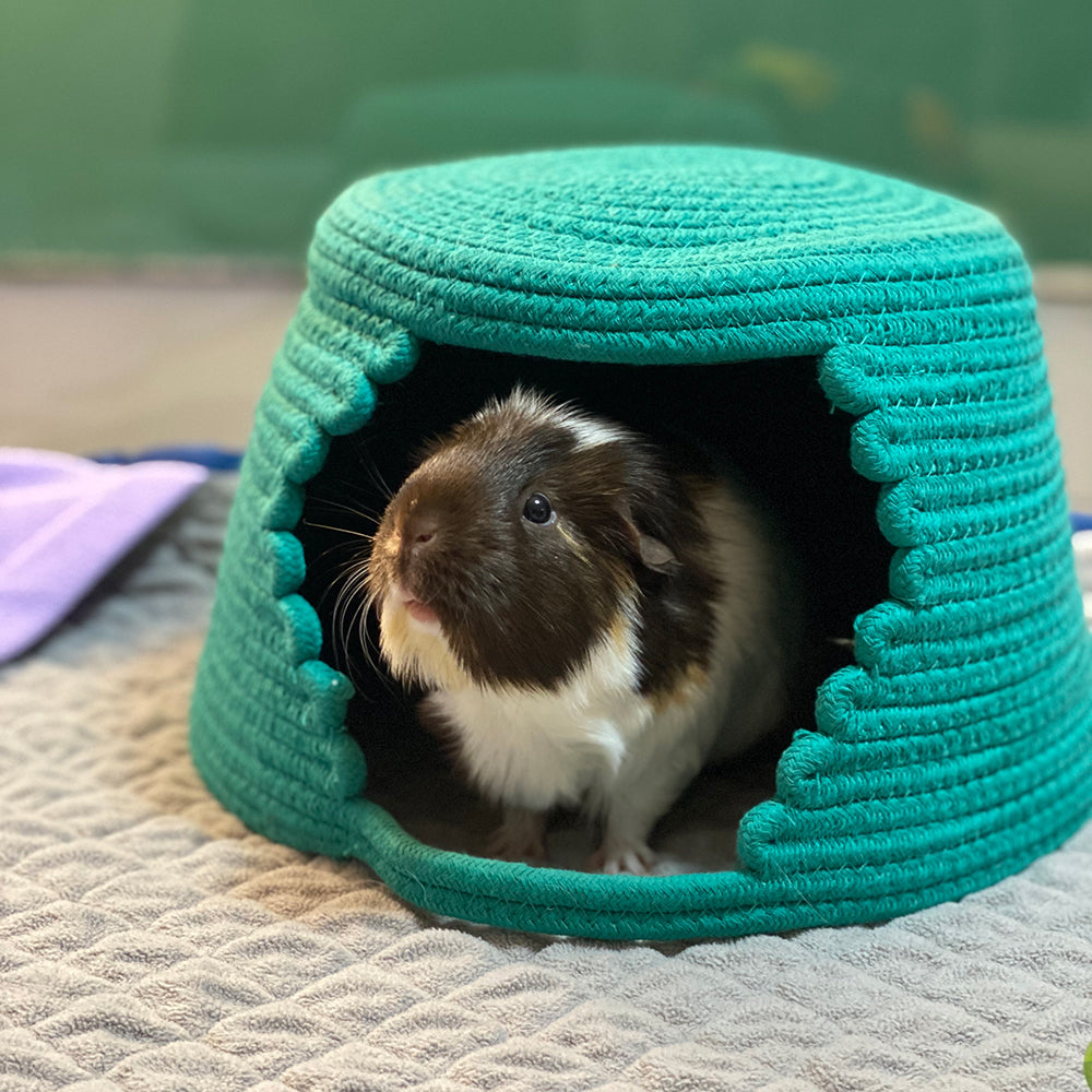 Small Animal Hideout product image 2