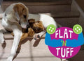 Dog Toys product image 1