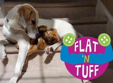 Dog Toys product image 1