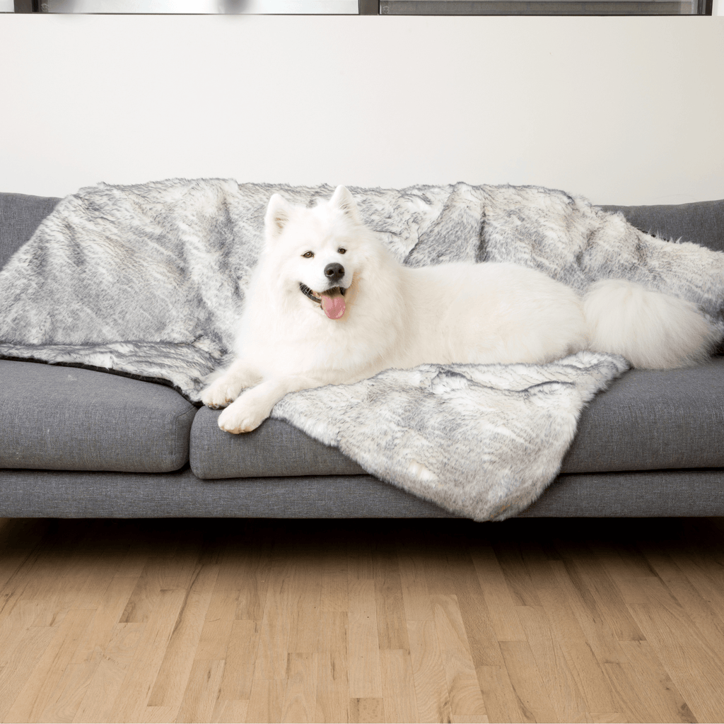 Waterproof Dog Blanket product image 3