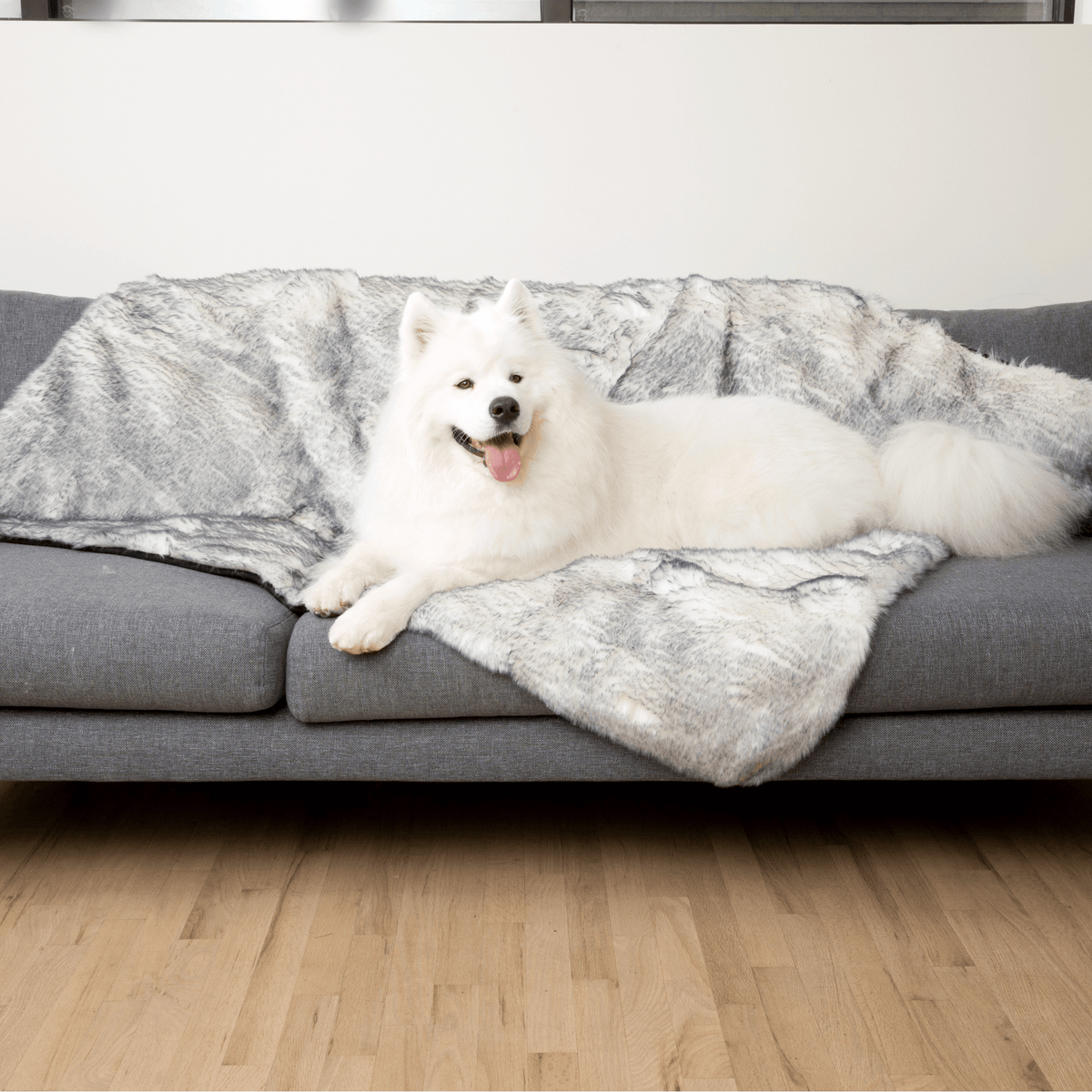 Waterproof Dog Blanket product image 3