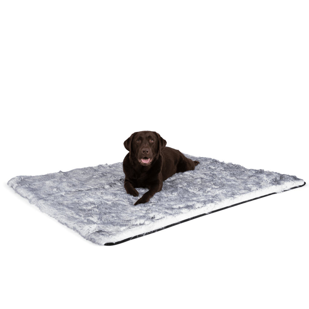 Waterproof Dog Blanket product image 7