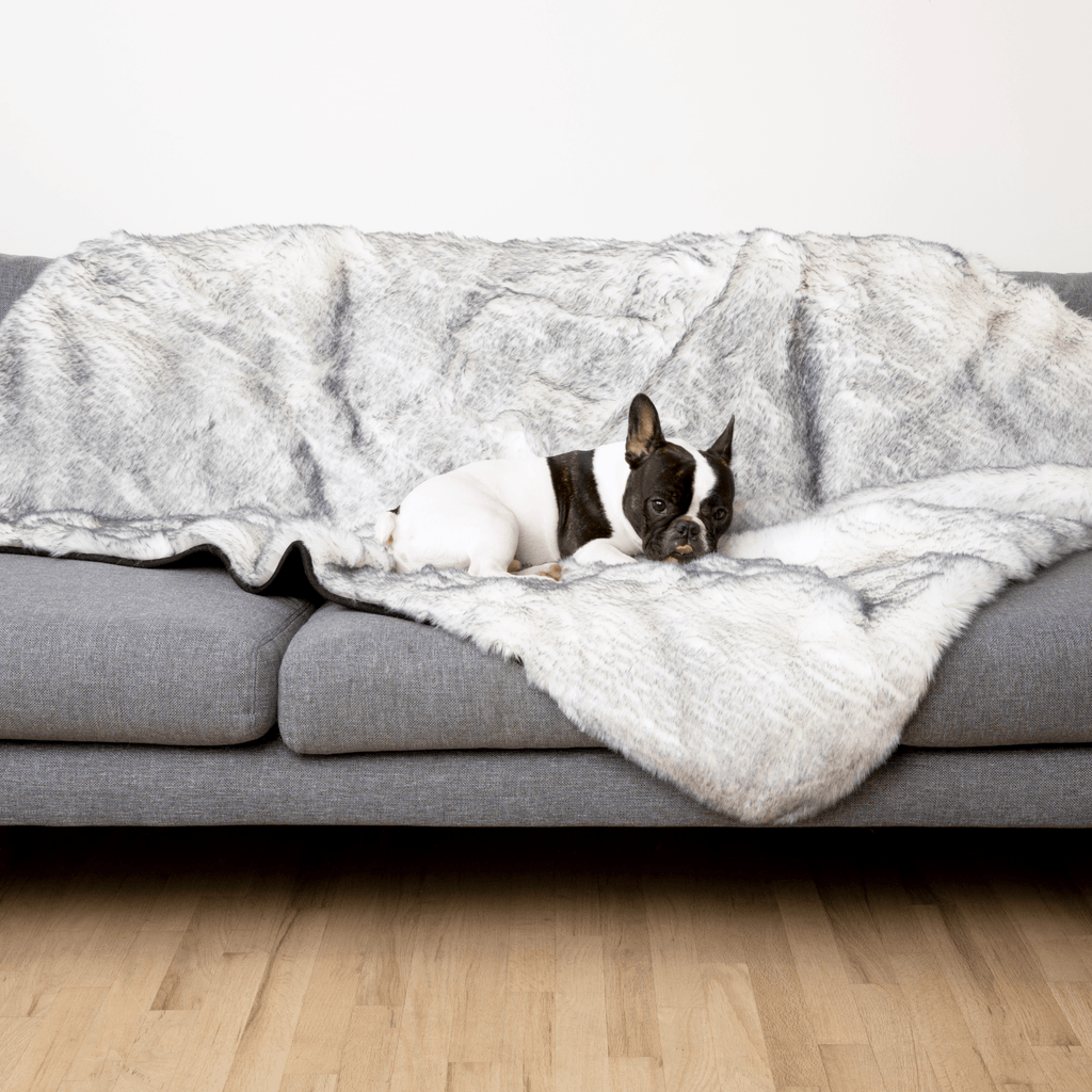 Waterproof Dog Blanket product image 8
