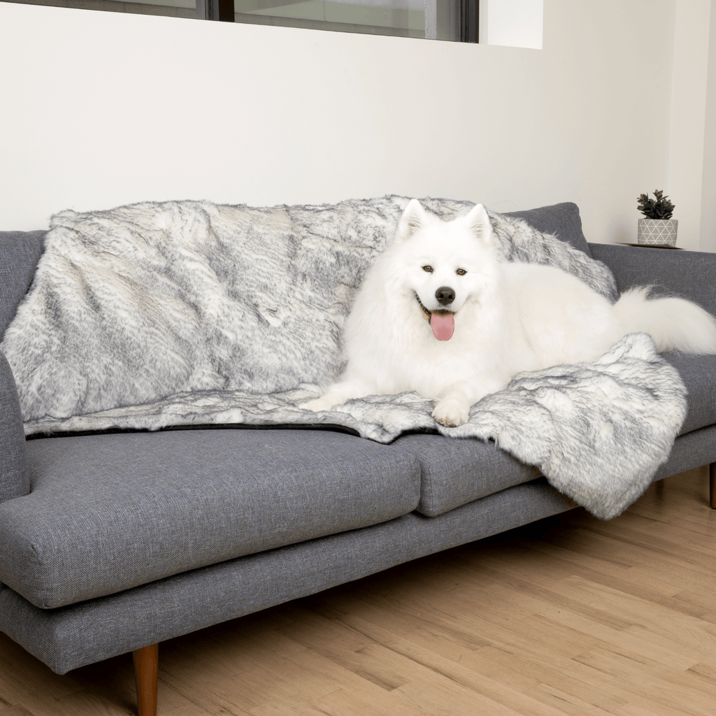 Waterproof Dog Blanket product image 12