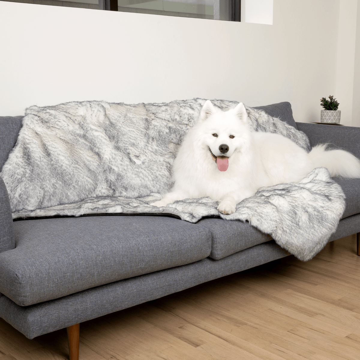Waterproof Dog Blanket product image 12