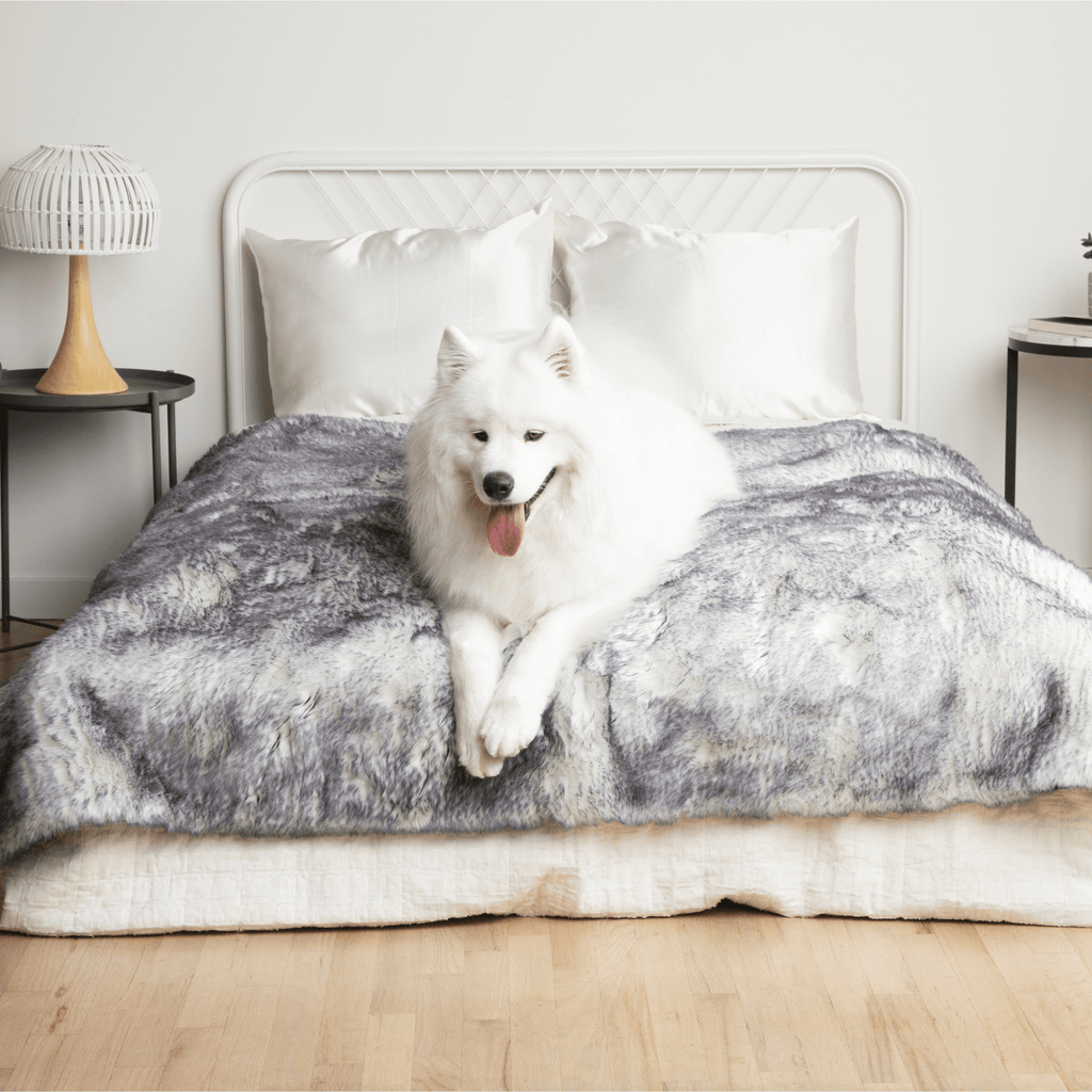 Waterproof Dog Blanket product image 14