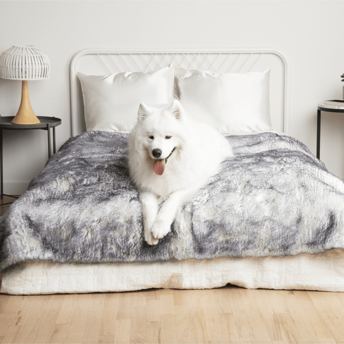 Waterproof Dog Blanket product image 14