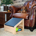 Compact Dog Step Ramp product image 3