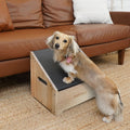 Compact Dog Step Ramp, Clear Natural