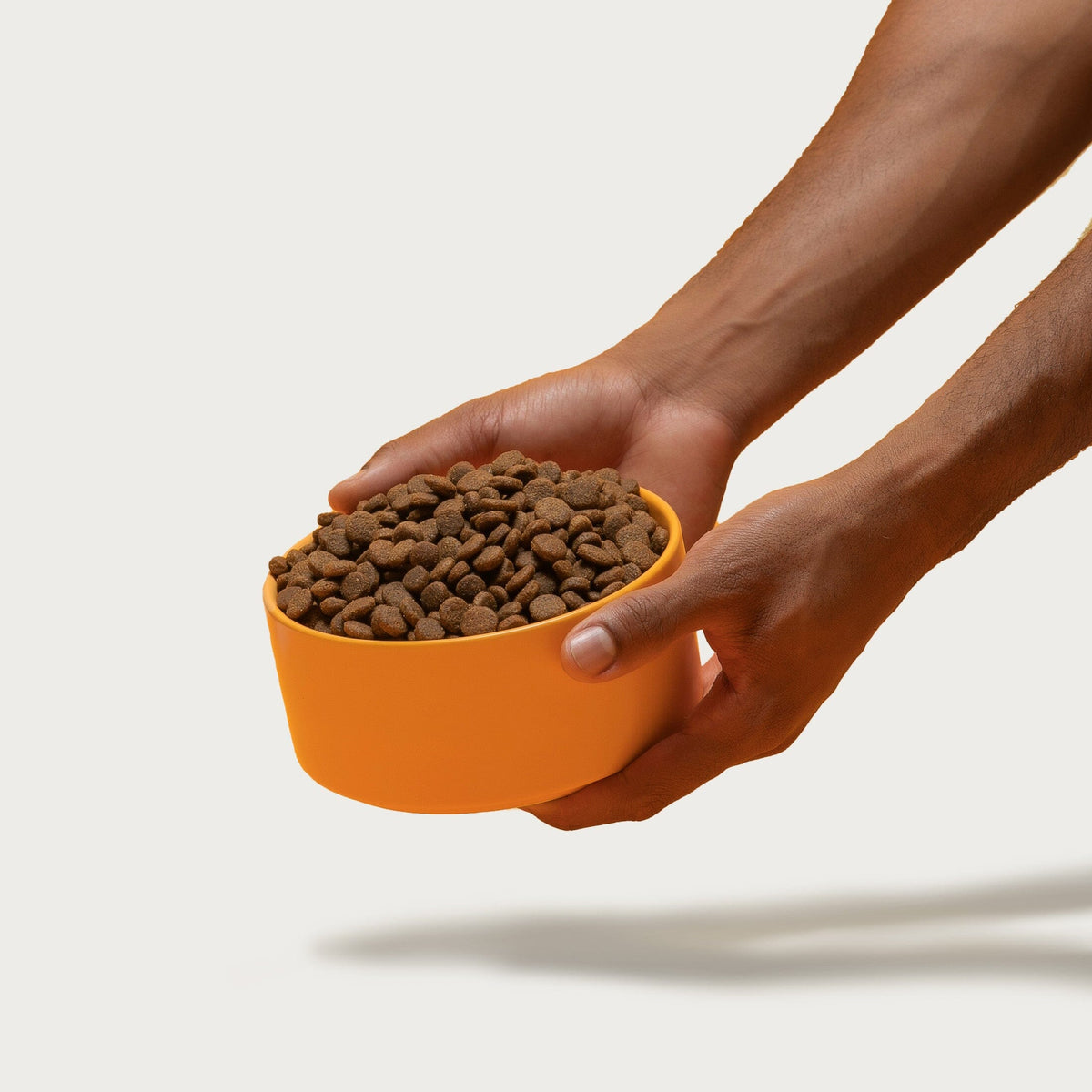 Dry Dog Food product image 5